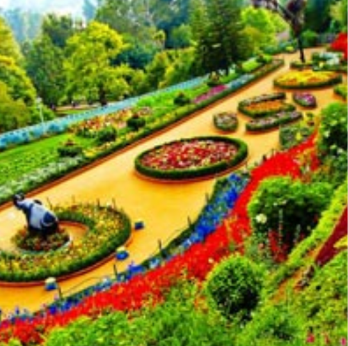 Affordable & Luxurious Ooty 2 Nights/3 Days Offer Package