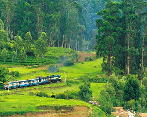 Trifete Ooty Economical package
