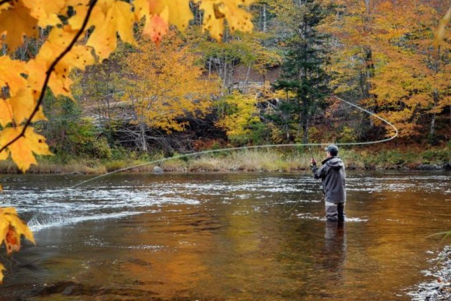 Fly-Fishing