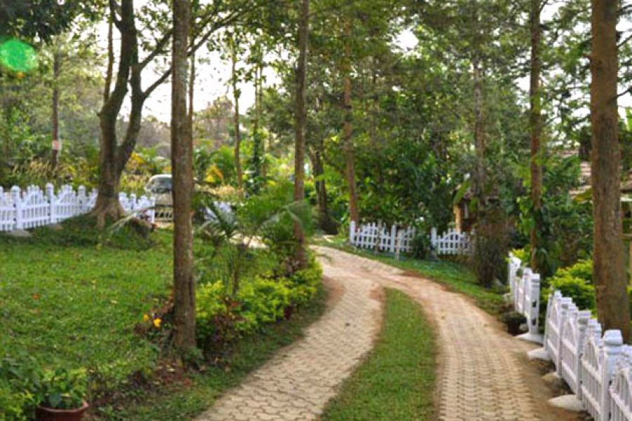 Silveroaks Resort, Coorg