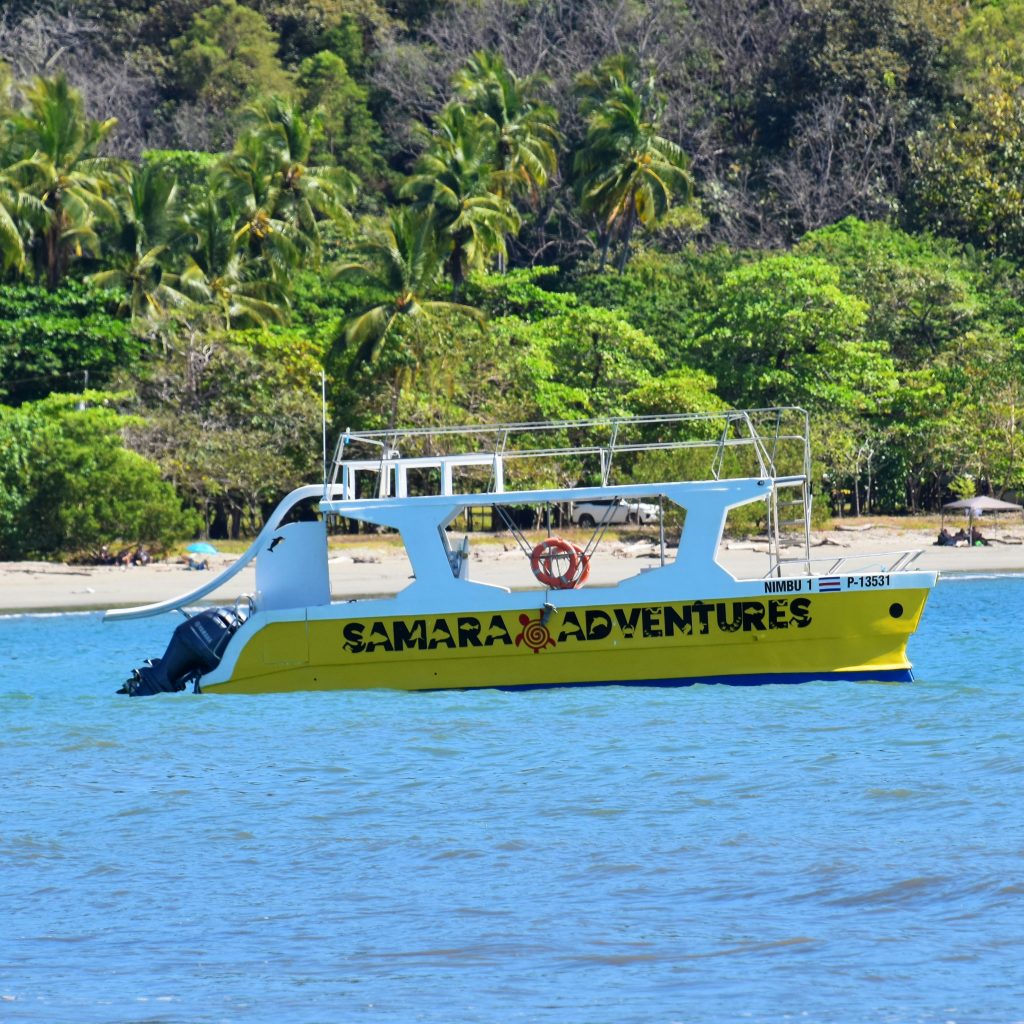 photo 1687361660058 50181009e17d